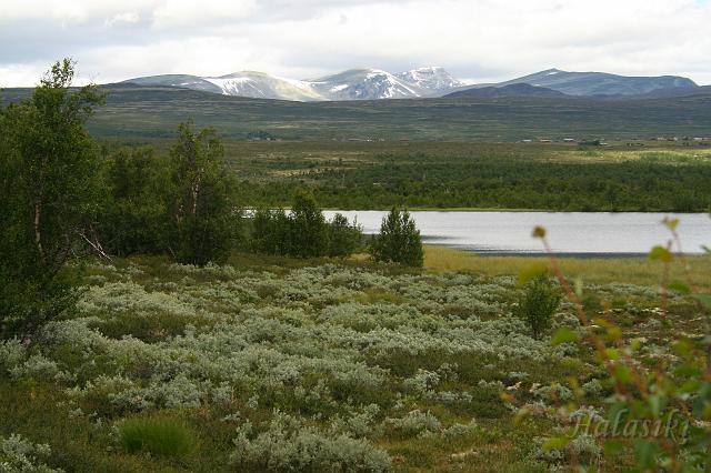 Norwegia (1634).JPG - Norwegia - płaskowyż w okolicy Dombas